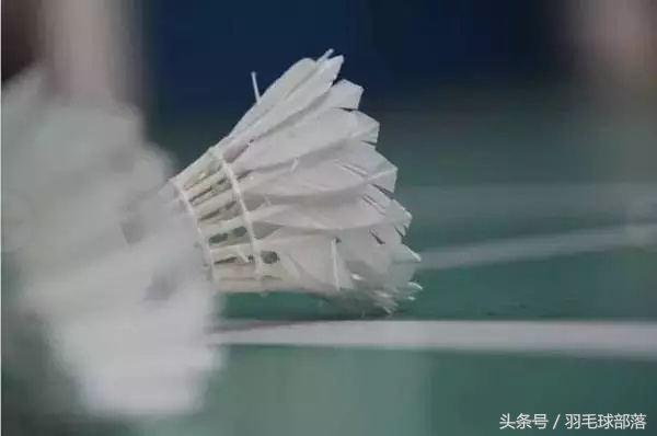 新手玩羽毛球需要什么装备,羽毛球新手需要购买的装备