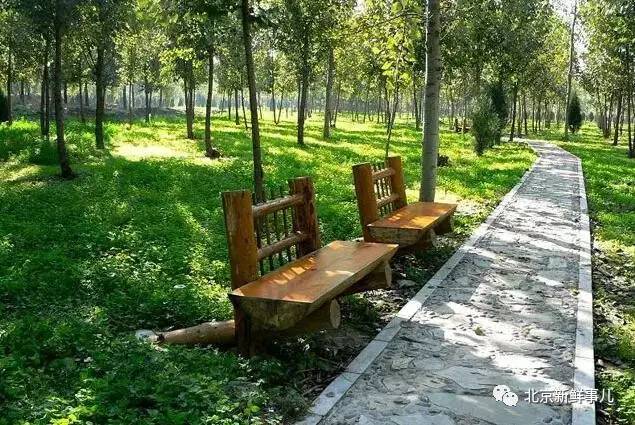 北京赏花踏青自驾游,北京国家森林公园踏青