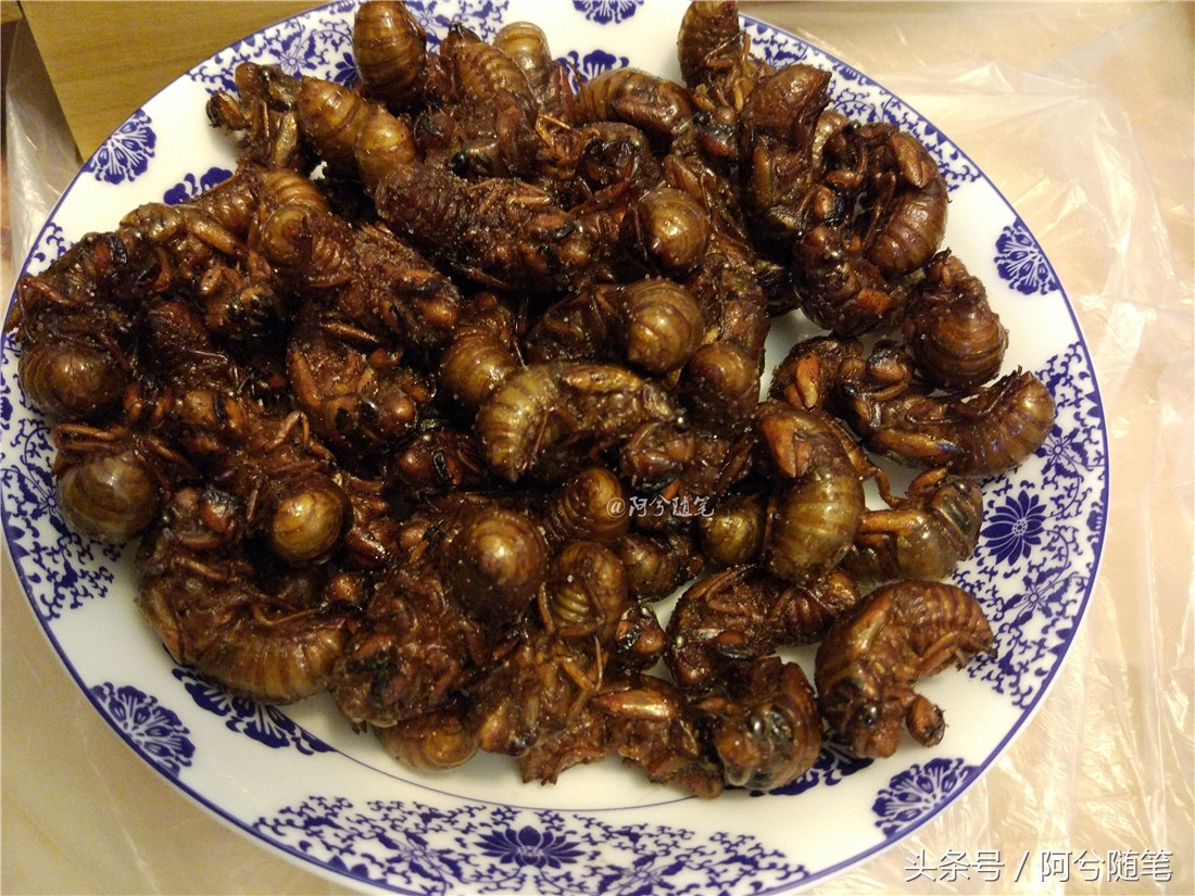 适合在农村创业的十大好项目推荐,5种适合农村人创业的小投入项目