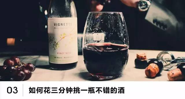 Esquiz54｜单程还是往返？SpaceX这次要载两名游客环月旅行