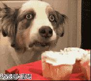 免准考证查分攻略在此，你还在担心什么？