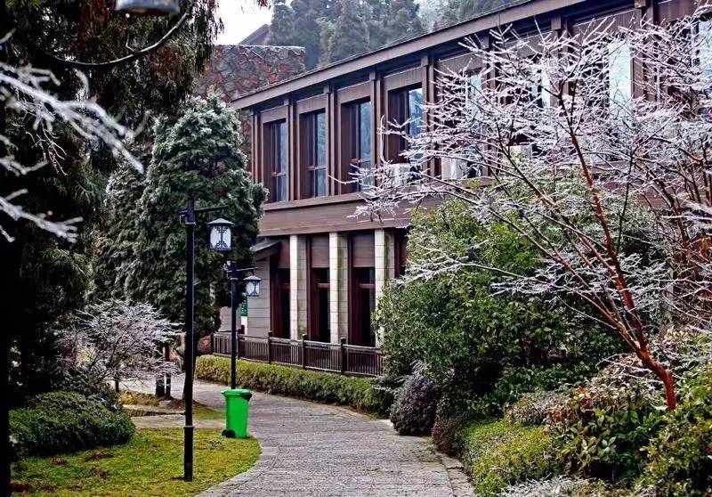 雪竟下得那么认真？居然感动了孟非踏雪来到江西，等不及了快上车