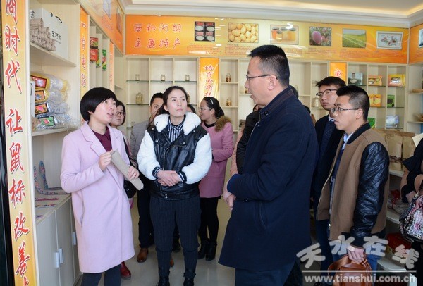 清水县组团赴西和县和礼县考察电子商务