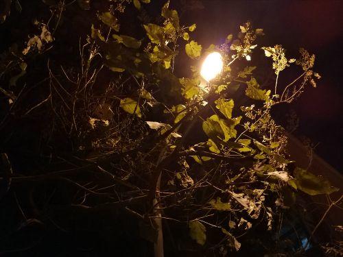 华为p10处理器麒麟960升级鸿蒙,华为p10搭载了海思麒麟960处理器