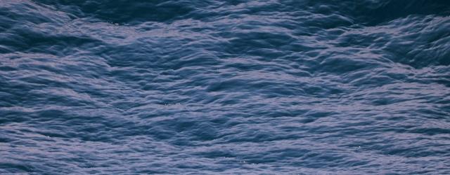 靛蓝染色教程,靛蓝制作原料