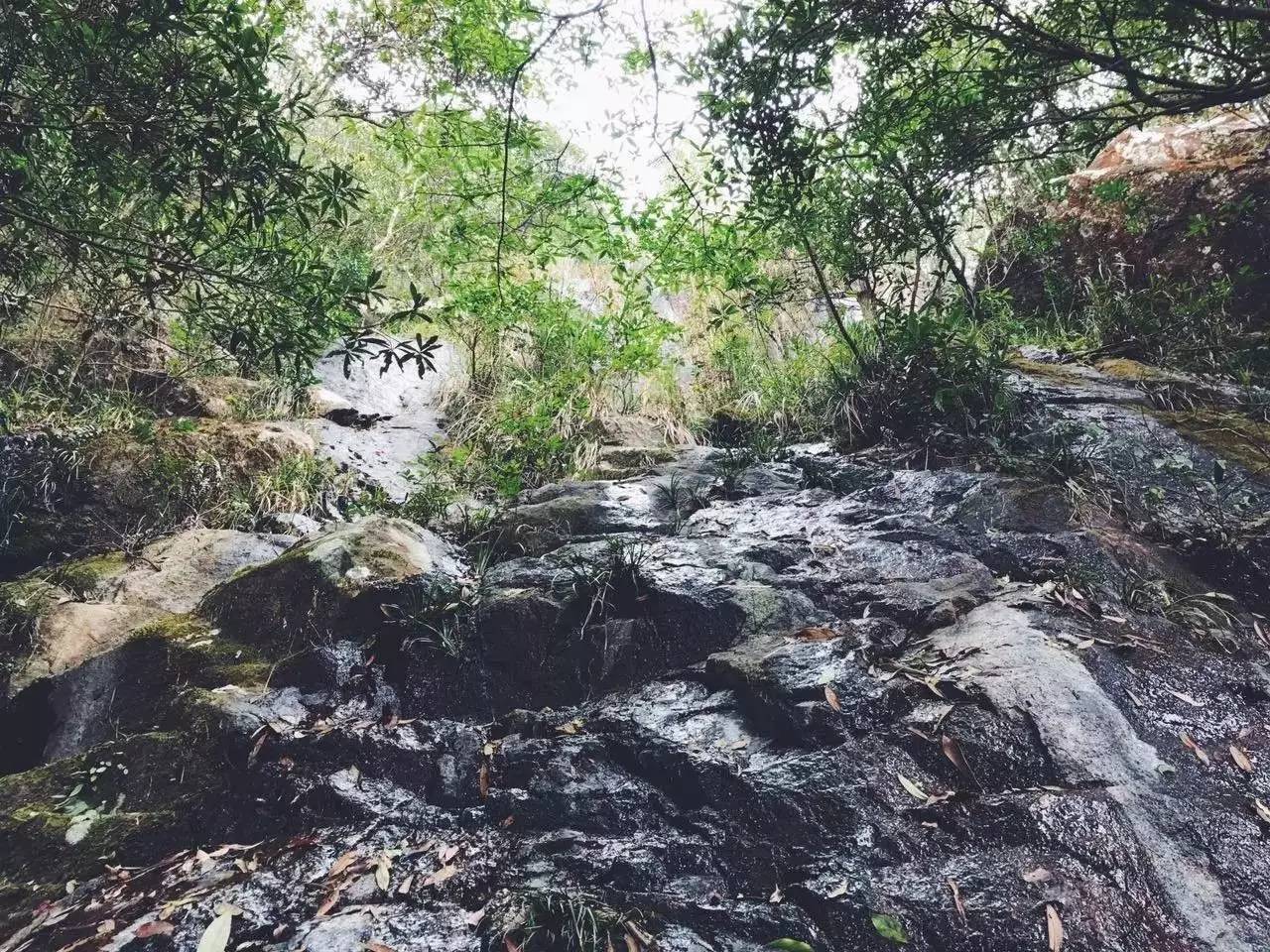 云雾中的香港大东山,香港大东山全景