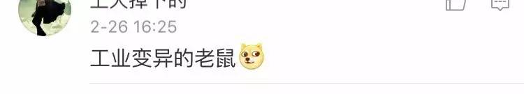 今朝上海｜闻臭师、遛娃师、衣橱整理师……这些奇葩职业的收入竟然那么高！也许你也隐藏着某些赚钱技能哦~