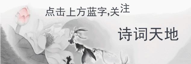 林徽因余生很短一定要爱,林徽因总有人因为是你而爱你