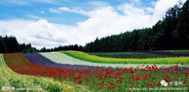 五湖四海之四海,五湖四海漳州