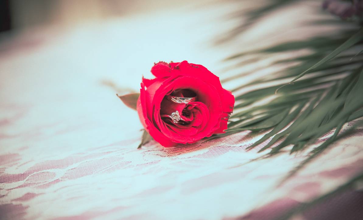 非洲现在怎么结婚?狂拽酷炫的婚礼现场给你看~