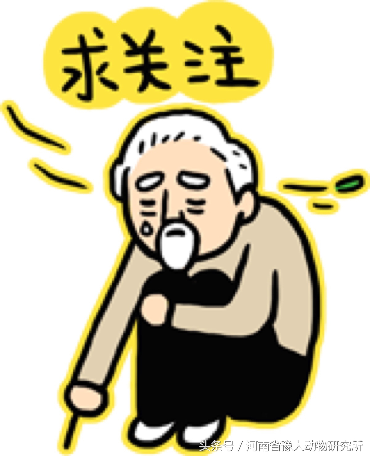 哺乳仔猪补铁过敏反映及治疗,哺乳仔猪补铁过敏反应及治疗