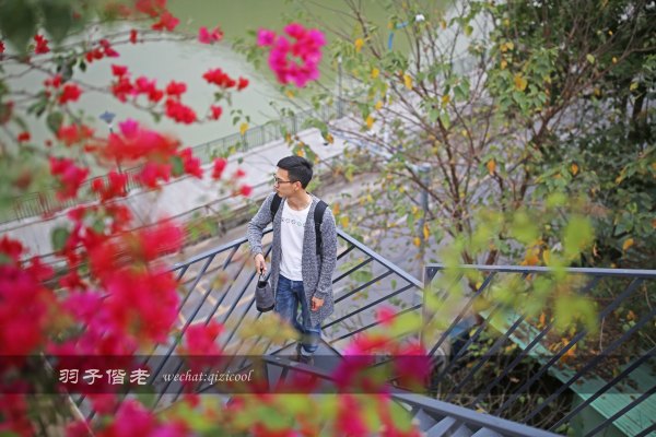 居于涟岸隐于湖,到肇庆体验离尘不离城的精致慢生活