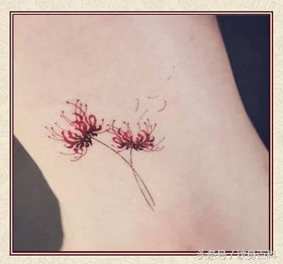 粉丝求图,粉丝求素材原图怎么回复