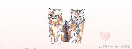 你们都是美杨杨爱的喵！萌到众生的猫咪系美妆品，喵星人驾到！