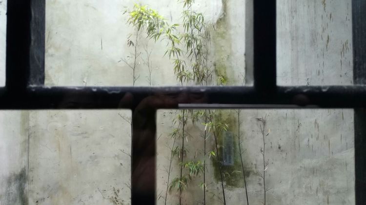 黎里古镇门票价格,黎里古镇烟雨江南