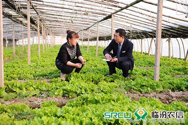 农商银行打通金融服务最后一公里,尧都农商银行凝聚服务力量