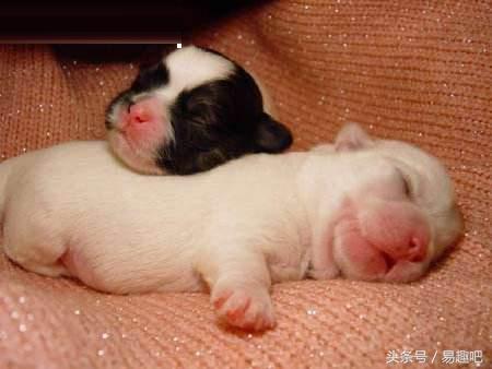 揭密互联网*局骗**：挂机一个月，卖号、挂机赚9999元？！