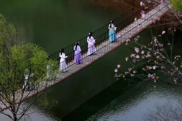 众里寻她千百度视频,众里寻她千百度作品