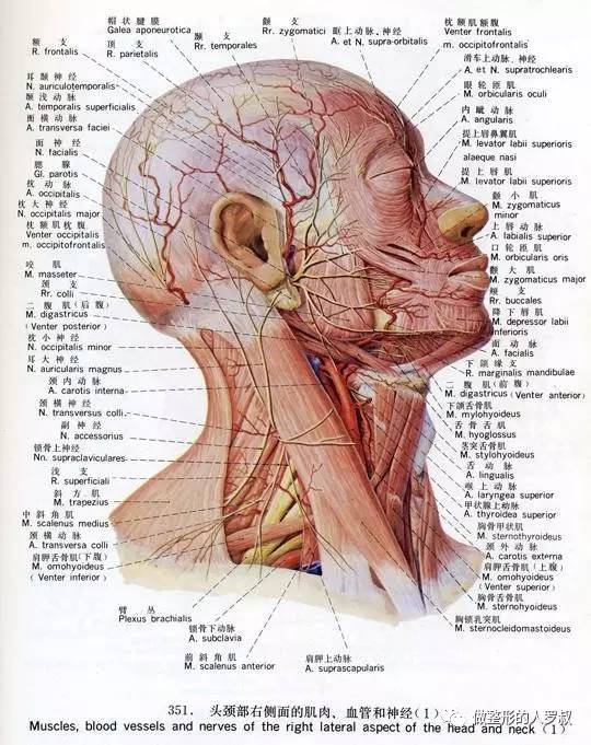 罗叔：10问玻尿酸（建议收藏）