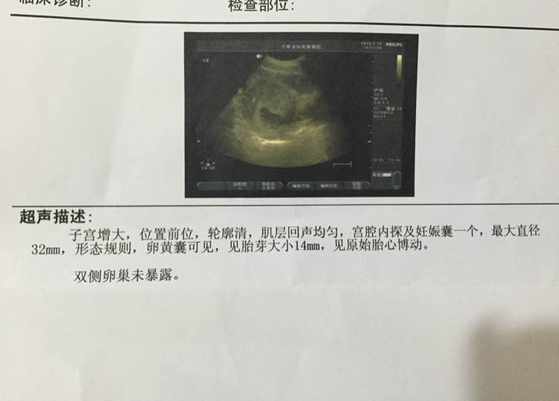 一对百合妈妈的幸福育儿经历,也许你不用嫁给男人!