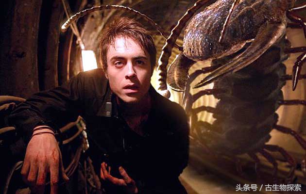 史前蜈蚣大战巨脉蜻蜓,史前蜈蚣体长可达3米