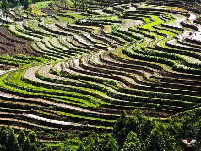 四峨梯田徒步,成都九月四姑娘山徒步一日游