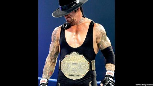 wwe摔角狂热33罗曼雷恩斯出场,摔跤比赛wwe罗曼雷恩斯对战送葬者