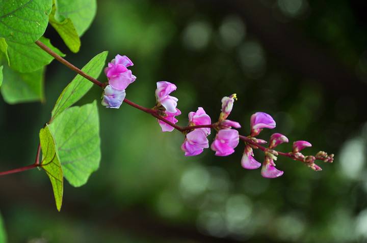 宫颈肥大该如何治疗,宫颈肥大该如何治疗呢