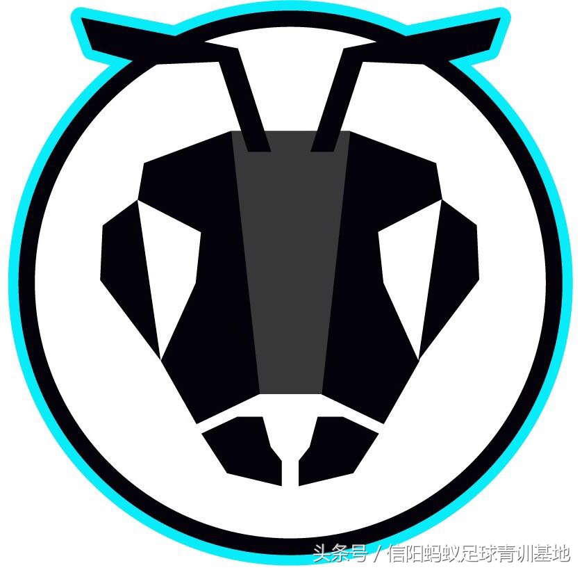 固始奥体中心足球比赛视频直播,2019年固始县足球比赛