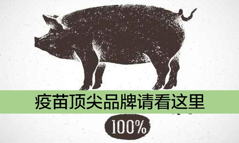 猪疫苗哪个牌子最好,哪个牌子猪的疫苗好