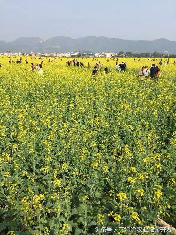 十里春风不如相约下洋涂，宁波不得不去的旅游胜地