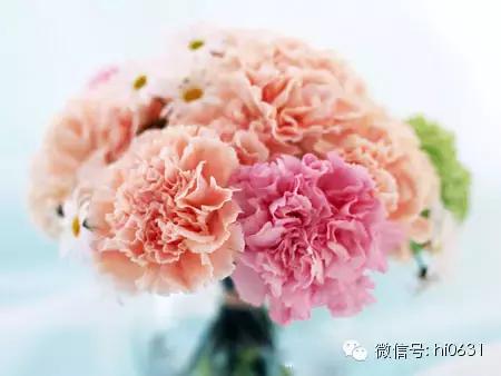 威海最有名的女人,山东威海最漂亮的女人