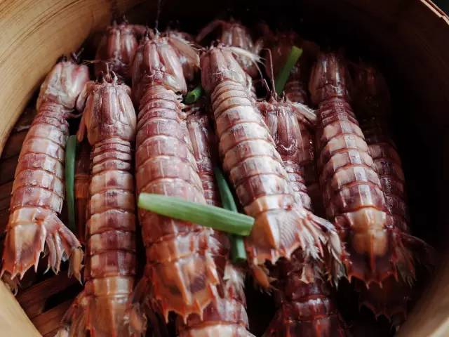 皮皮虾最美季节,又到了皮皮虾最肥美的季节