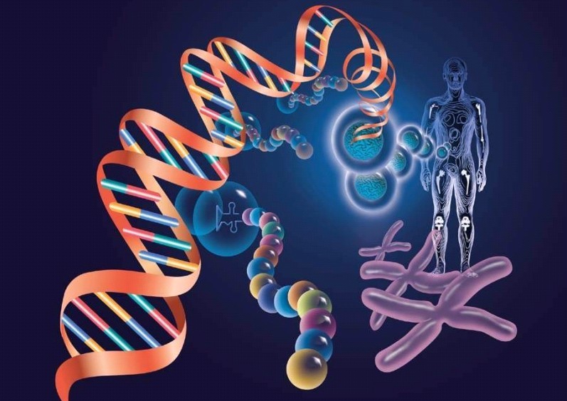 分子靶向治疗的优缺点,分子靶向药物不良反应科普