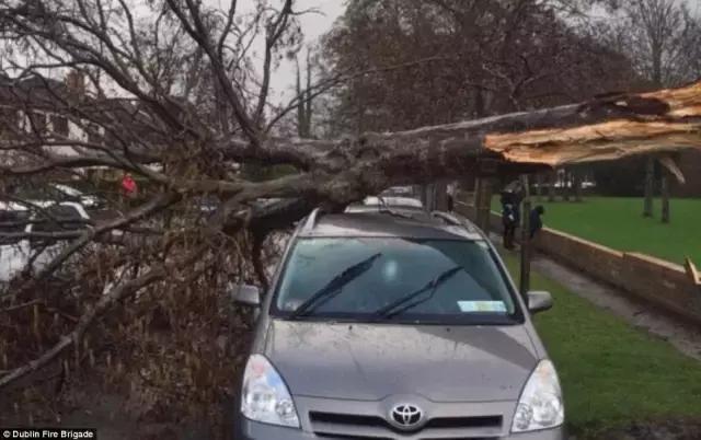 “杀人”狂风Doris席卷英国！结果又被腐国人民玩坏了……