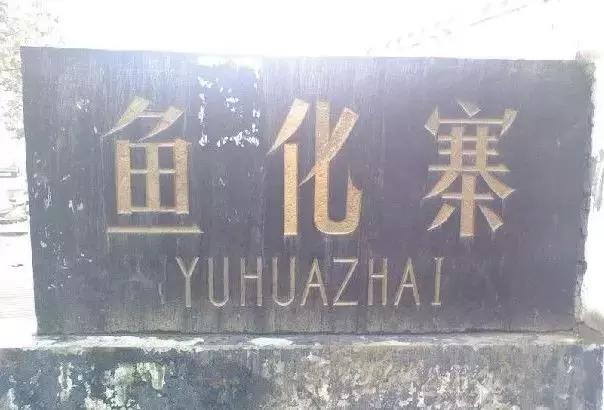 每一个与鱼化寨国际有染的人，都曾对这个小香港有难以言表的热忱