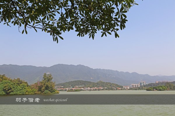 居于涟岸隐于湖,到肇庆体验离尘不离城的精致慢生活