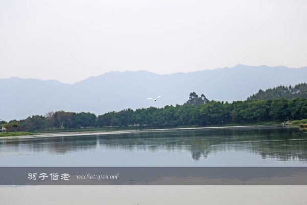 居于涟岸隐于湖,到肇庆体验离尘不离城的精致慢生活