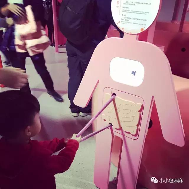 沈阳到厦门亲子游攻略,厦门亲子游三天两晚多少钱合适