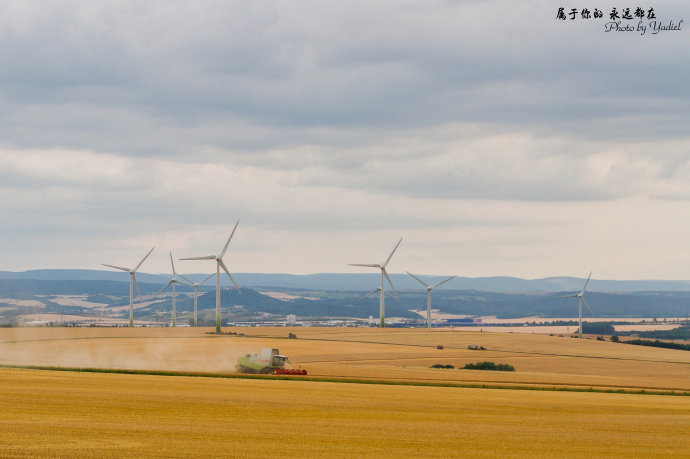 歌德与席勒,歌德为席勒写的诗