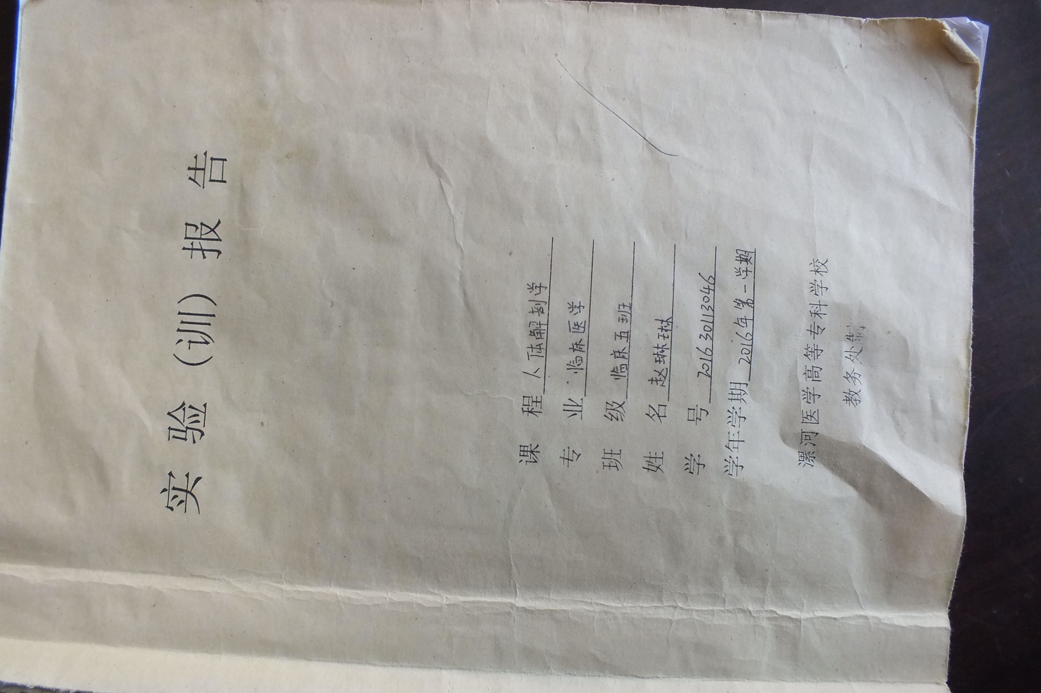 大学美女学霸手绘人体解剖图太逼真堪比印刷成为网红