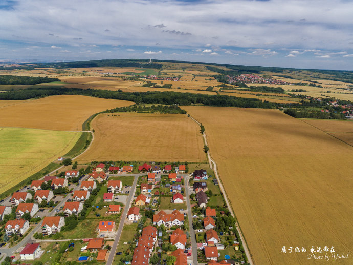 歌德与席勒,歌德为席勒写的诗