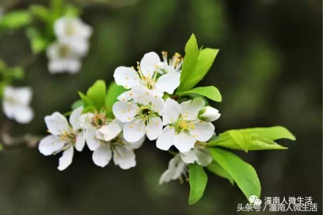 潼南附近的城市好玩的地方,潼南是不是个好地方