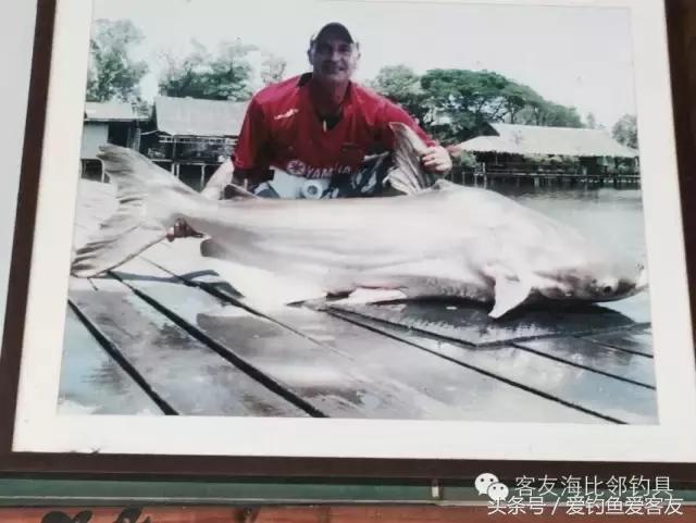 泰国巨骨舌鱼钓场位置,泰国钓鱼钓巨物位置