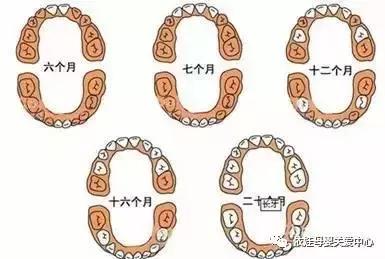 宝宝不缺钙为什么不长牙,宝宝十个月不长牙齿正常吗