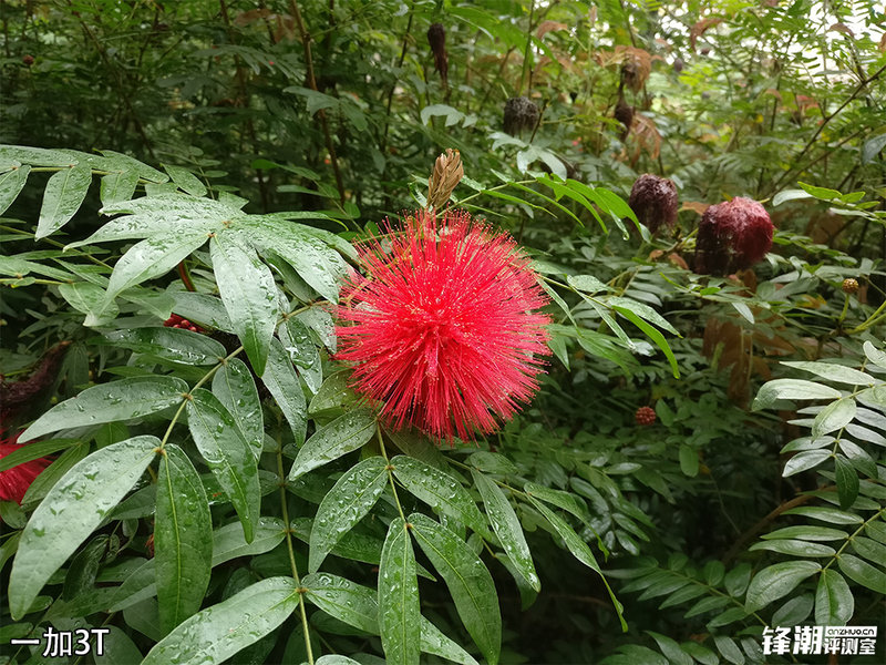 一加3t和荣耀v9哪个好,荣耀v9和一加3t评测视频