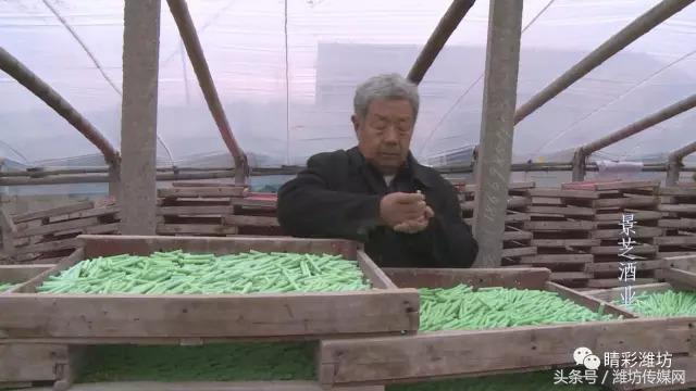 老师用的粉笔都是什么样子的粉笔,石笔粉笔是真的吗