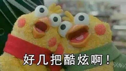 桃花岛稀有宝箱,桃花岛特色物品