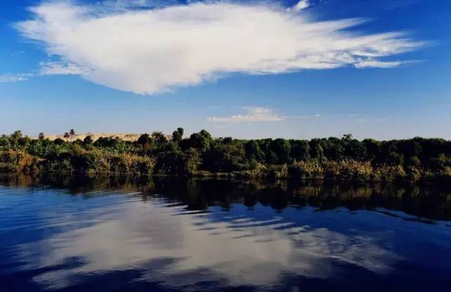 直男评价斩男香,直男公认斩男香