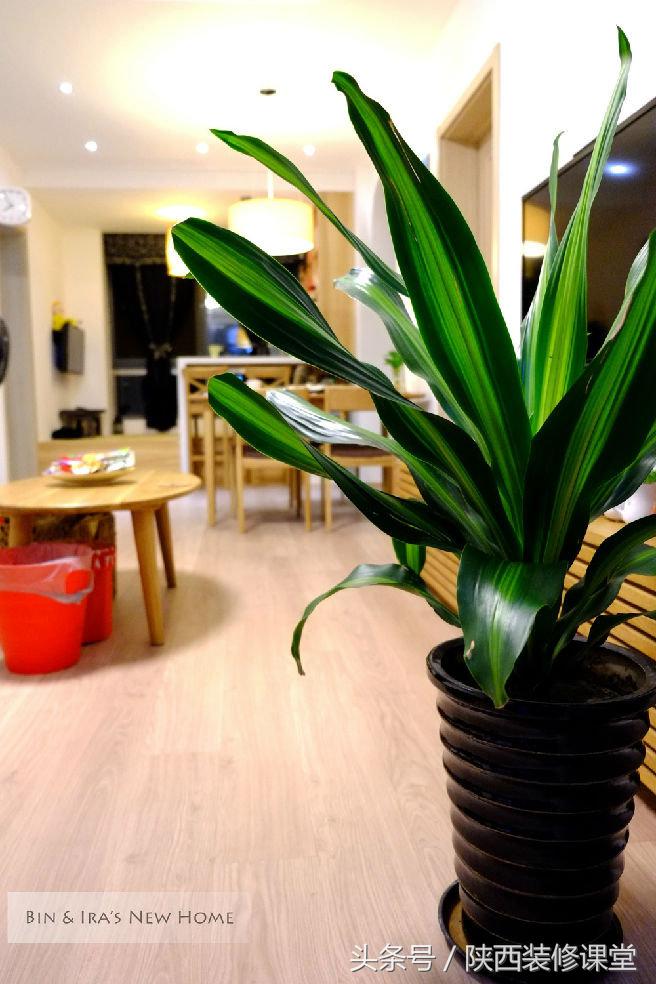 muji原木风温馨小屋,muji原木风温馨小家